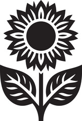 Sunflower vector illustration