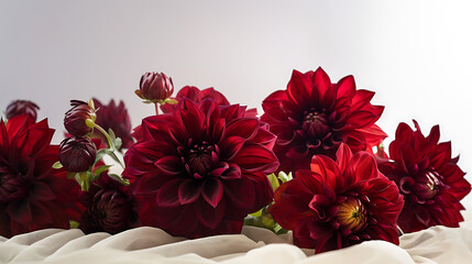 Vibrant red dahlias arranged elegantly on soft fabric, showcasing their rich colors and textures