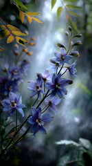 Ethereal blue blossoms in soft light