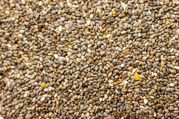 Close-up view of a chia seed background.