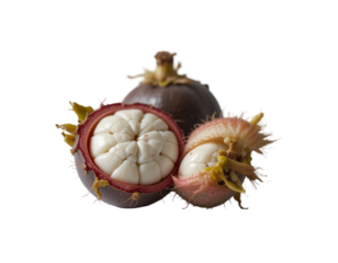 Examining Fresh Mangosteen Fruit on Transparent Background