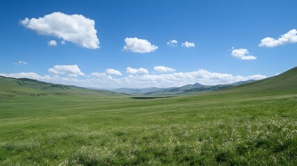 Fototapeta premium Vast green field under a bright blue sky with scattered clouds
