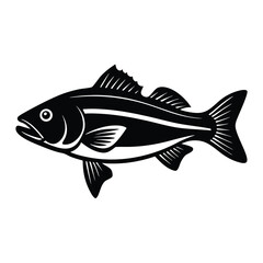 Fototapeta premium Striped Bass Fish Illustration Black and White Vector Graphic