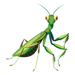 Mantis