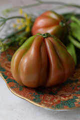 Heirloom tomato, fresh green carob beans and fennel with soft feathery leaves and stems on a decorative plate. Ideal for recipe blogs, farm-to-table branding, or packaging design.