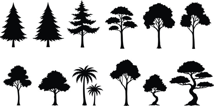 Versatile Basic Tree Outline Vector Pack Featuring Bonsai, Birch, Maple, and Tropical Trees in Pure Silhouette Form