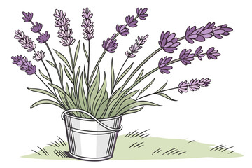 140 lavender, purple, flower, bouquet, lavender bouquet, floral, plant, botanical, bucket, metal bucket, vase, still life