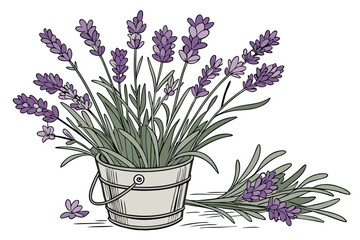 140 lavender, purple, flower, bouquet, lavender bouquet, floral, plant, botanical, bucket, metal bucket, vase, still life