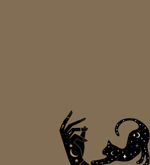 a cat playing with its master's hand