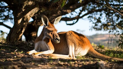 A kangaroo resting under a tree in a serene landscape with distant hills and clear sky