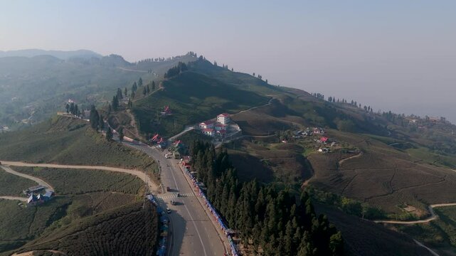 Aerial view of a green tea garden in ilam, Nepal. Fresh Green tea Field. Green tea plantation and forest nature landscape. Beautiful mountain tea garden landscape.