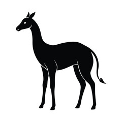 Dibatag Grazing Neck Vector Silhouette