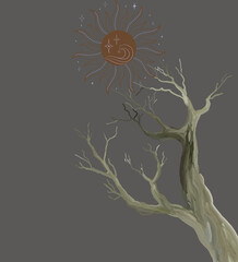 a dead tree has no more leaves