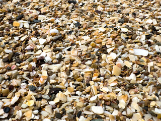 Colorful beach gravel and crushed shells closeup