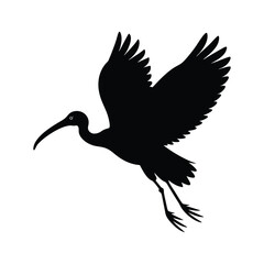 Ibis Flying Curved Beak Vector Art