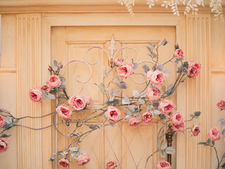 Pink Roses on the door, in flower garden, selective focus. Closed up of the door which is painted in Tuscany Orange color. Vintage door