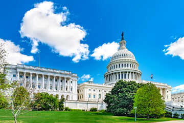 Summer view of the Capitol building in Washington, D.C., a green lawn under a blue sky.