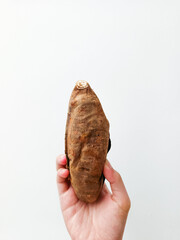 Hand holding a roasted honey sweet potato on white background