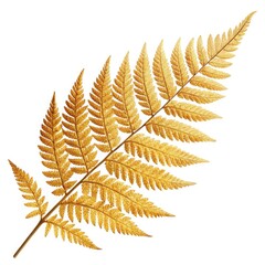 golden autumn leaves isolated on white background
