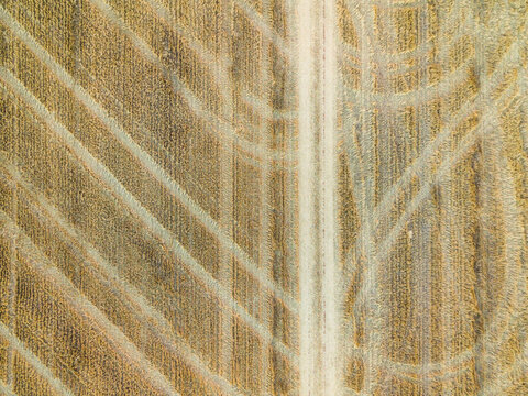 Looking down on wheel tracks in a paddock