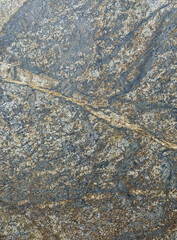 Weathered rock surface with intricate patterns and cracks.
