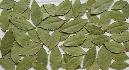 Aromatic Dried Bay Leaves Collection: Culinary Herb Background for Recipes and Cooking