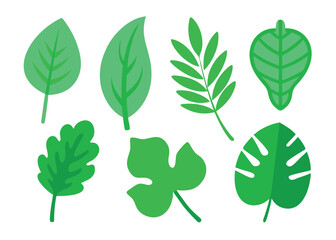 set of green leaves isolated, green leaves collection set on white background