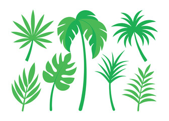 vector set of green plants leaf, plam trees leaf banana leaf