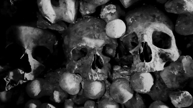 Vintage film-stylised black and white Video of many Human Skulls and Bones arranged in rows in Catacombs.