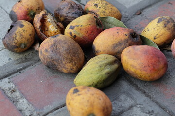 Una toma de cerca de varios mangos en el piso de concreto dañado