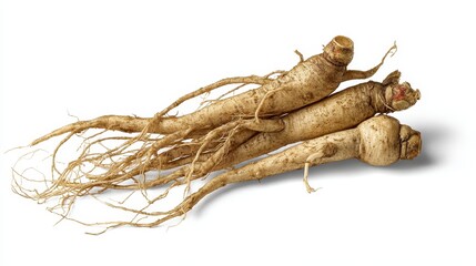 Ginseng, or Panax ginseng, is shown here isolated on white with a clipping path included