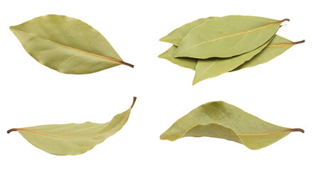 Bay leaves culinary ingredient and herb set isolated PNG with Transparent Background
