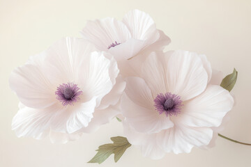 White poppies with purple centers on a soft pastel background