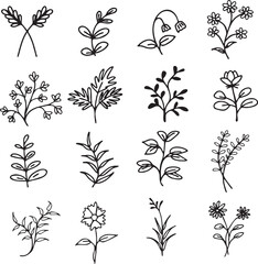 Hand-Drawn Plant Line Art Set – Vol . 2