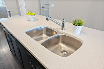 Stainless steel sink with a green plant on top of it