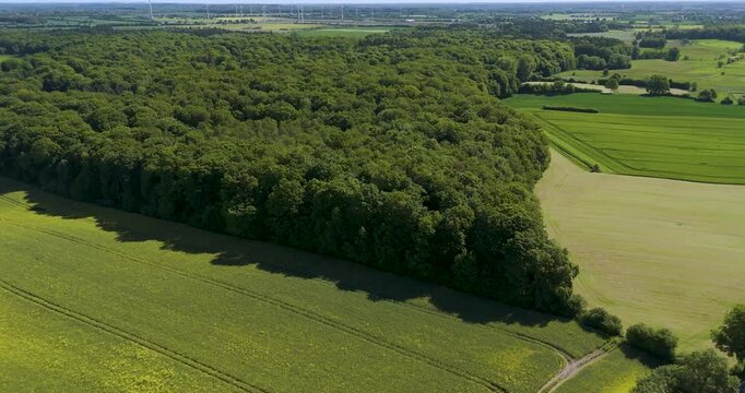 different fields and forest in germany landscape arieal with a blue sky and little clouds