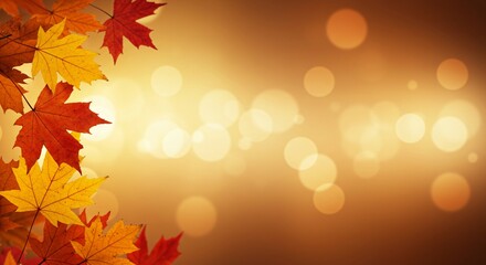 Autumn red and yellow maple leaves border template with warm bokeh light background. Concept of nature change in Fall season, suitable for design, event, greeting card, postcard.