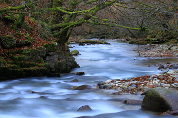 waterfall in autumn forest