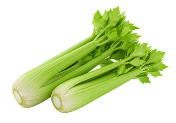 Fototapeta premium 新鮮セロリの瑞々しい緑 クローズアップ撮影