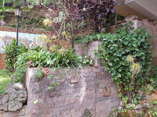 The wall and the forest in perfect harmony.