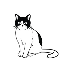 a black cat vecator and illustration and art design 