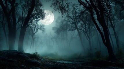 Obraz premium full moon in dark woods at night, fantasy forest panorama