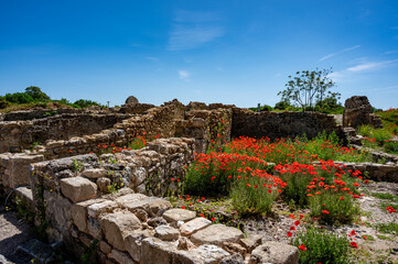 Ruinen mit Mohn