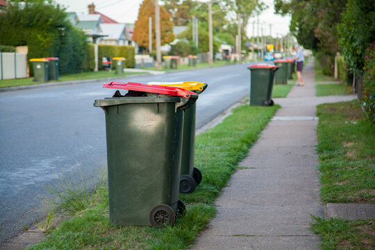 Council rubbish bins awaiting collection along town road