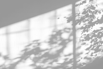 shadow overlay effects of realistic window and tree branch shadow with light blur on transparent background,Summer sunlight and shadow overlay effect