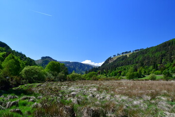 Fototapeta premium Glendalough, Co. Wicklow, Ireland, Wicklow Mountains National Park, The Glendalough Valley