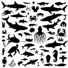 Black silhouette collection of diverse marine life including fish, sharks, octopuses, and seaweed on a white background, arranged in a dense pattern for aquatic-themed designs or illustrations.