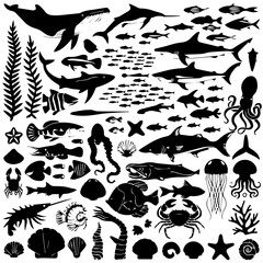 Black silhouette collection of diverse marine life including fish, sharks, octopuses, and seaweed on a white background, arranged in a dense pattern for aquatic-themed designs or illustrations.