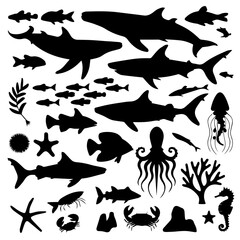Black silhouette collection of diverse marine life including fish, sharks, octopuses, and seaweed on a white background, arranged in a dense pattern for aquatic-themed designs or illustrations.