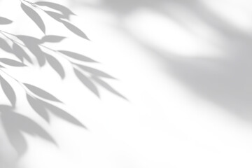 shadow overlay effects of realistic natural tree leaves shadow on white wall background,Summer sunlight and shadow overlay effect,shadow for photo interior backdrop studio mockup